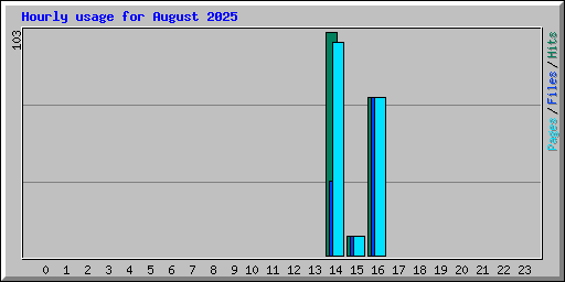 Hourly usage for August 2025